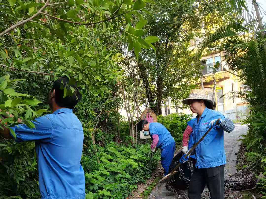 小区绿化养护整理杂草树枝