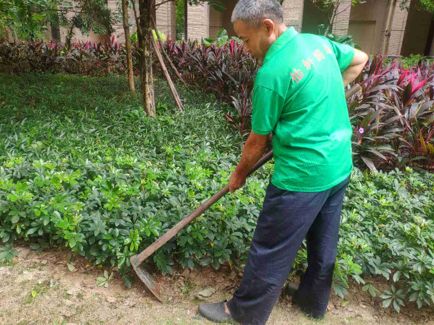 绿化工人正在松土