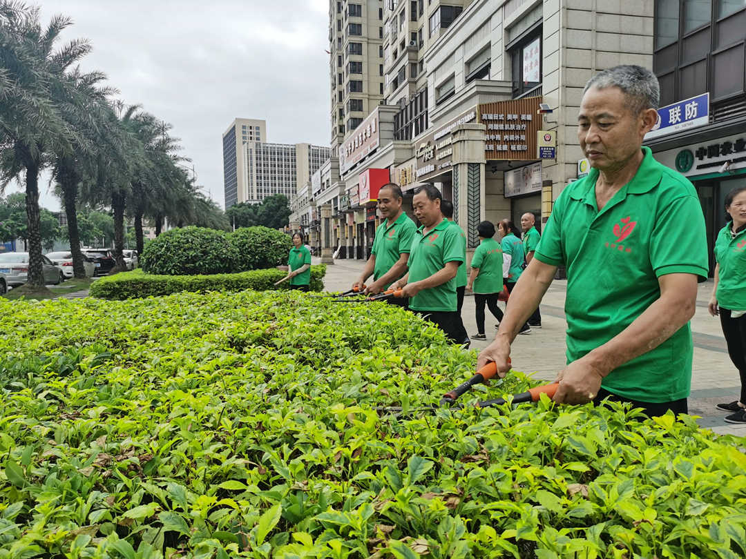 凯时娱乐绿化公司一样平常绿化养护事情