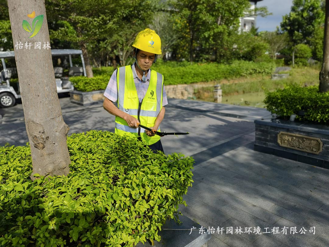 凯时娱乐绿化公司养护职员正在修剪