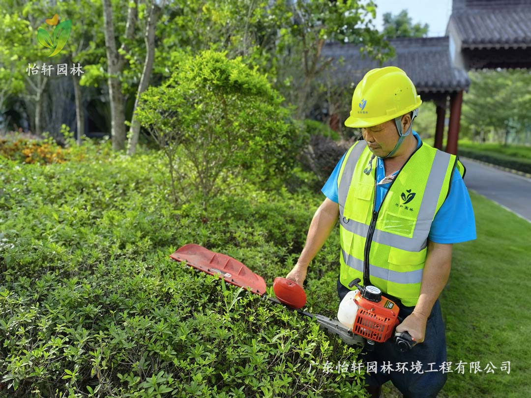 惠州绿色动力厂区一样平常养护事情