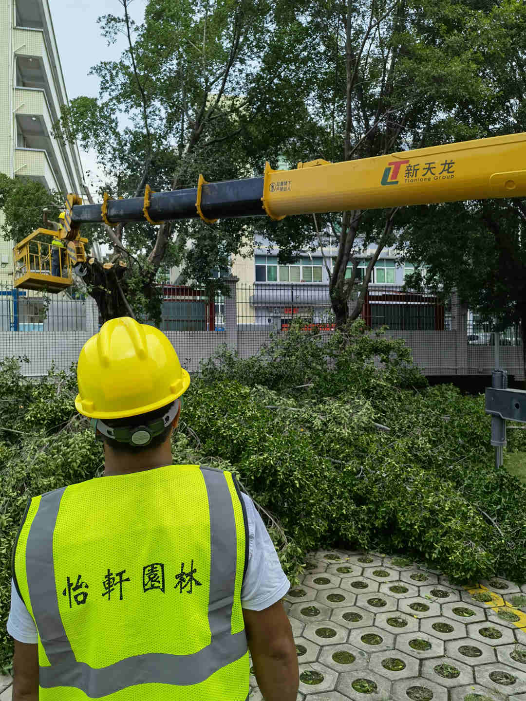 园林绿化工程后期的养护