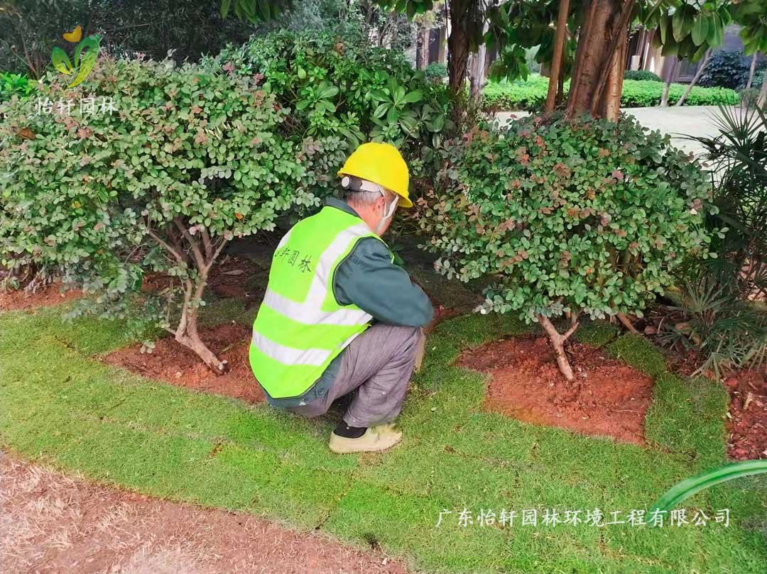 广州雪域澜庭小区绿化养护事情现场图