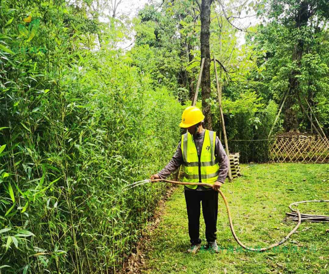 番禺露营基地绿化工程莳植完成后浇水