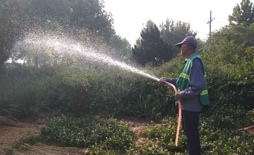 绿化苗木浇水