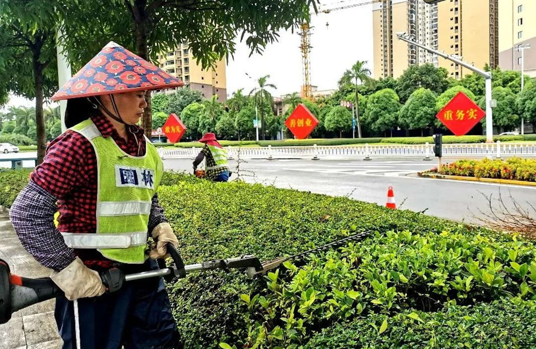 园林绿化养护灌木修剪