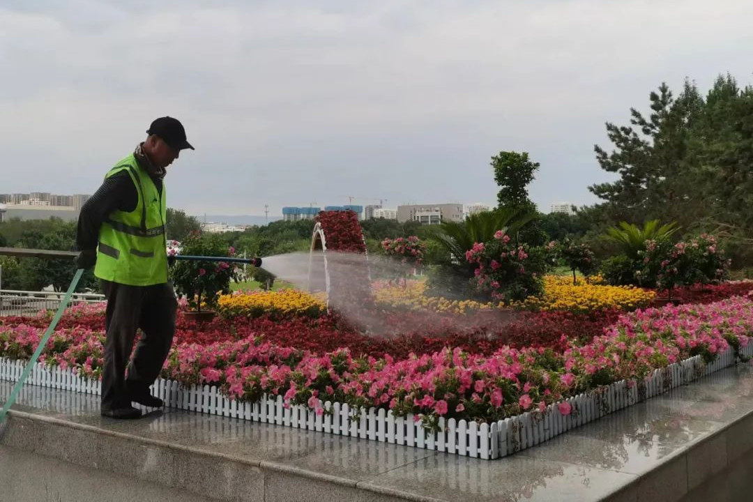 花卉莳植后的绿化养护浇水