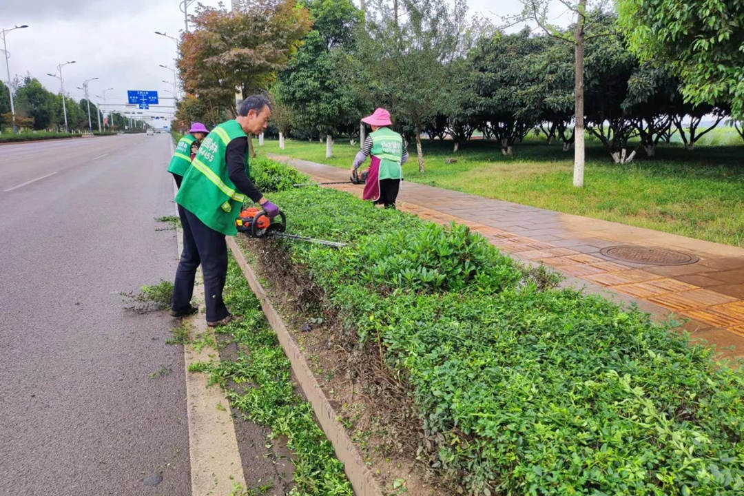 园林绿化养护修剪