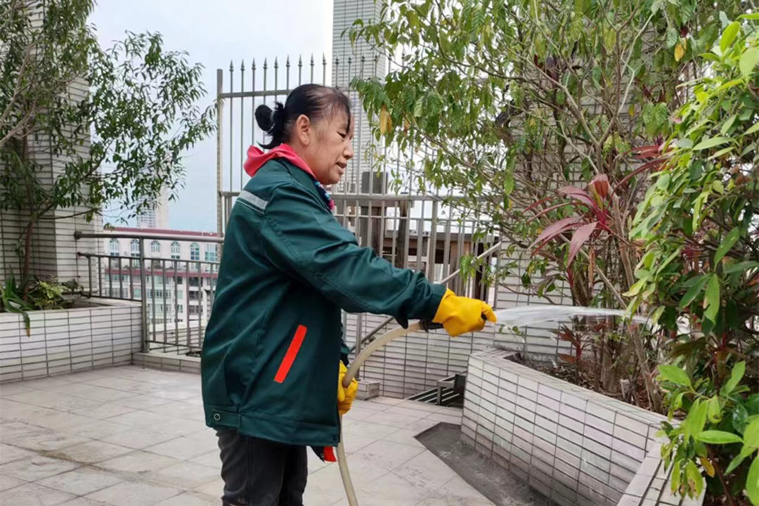 逸翠湾小区绿化养护冬灌