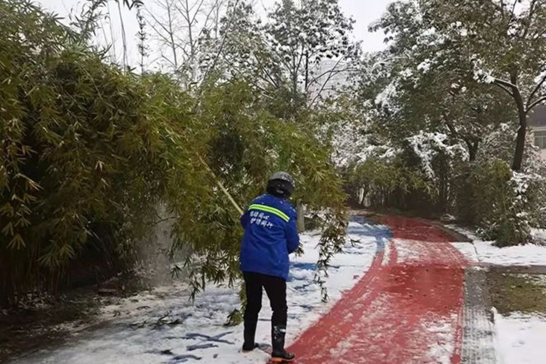 大雪事后的绿化养护